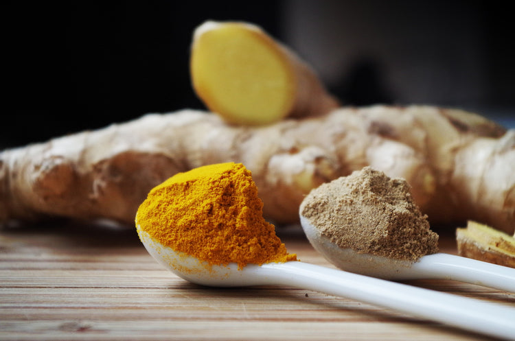 Sea Moss: Herbal Infusions