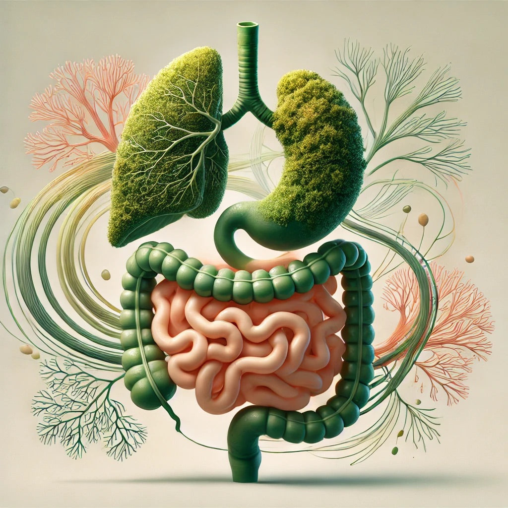 The Gut-Lung Connection: How Poor Gut Health Impacts Your Respiratory System